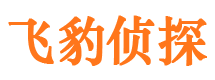 九江外遇出轨调查取证